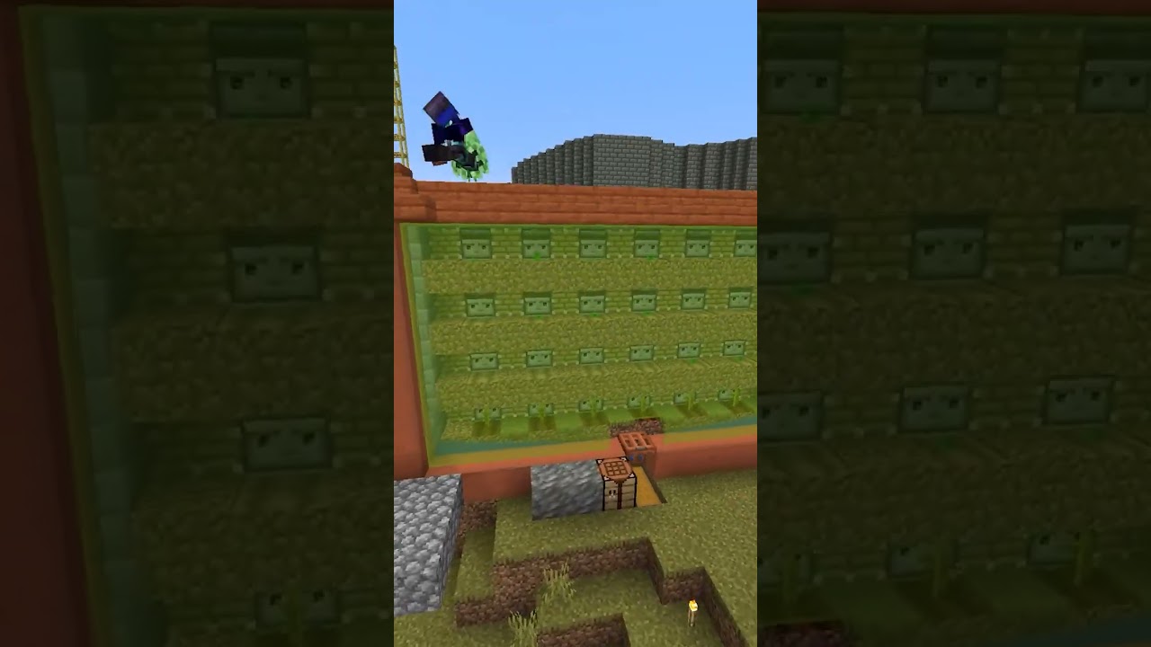 A Whole Season of a Minecraft SMP 