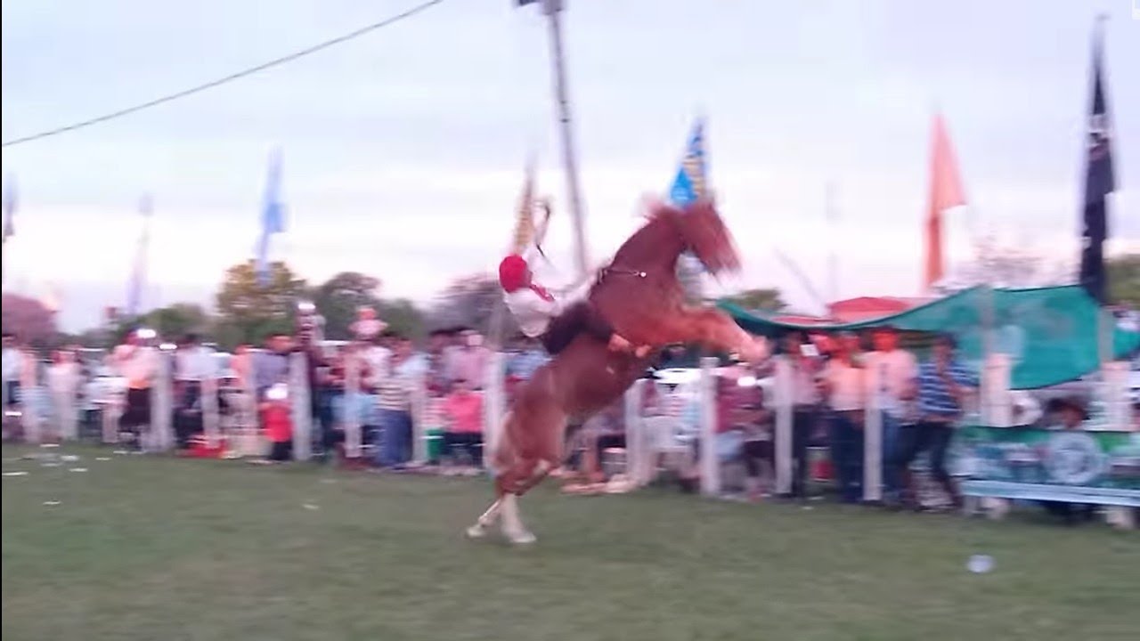 Jineteadas de Caballos Ricardo Pucheta Vs El Pa&ntilde;uelito Jacobo Fiesta Amistad 2018 Canal Rural AgroTv