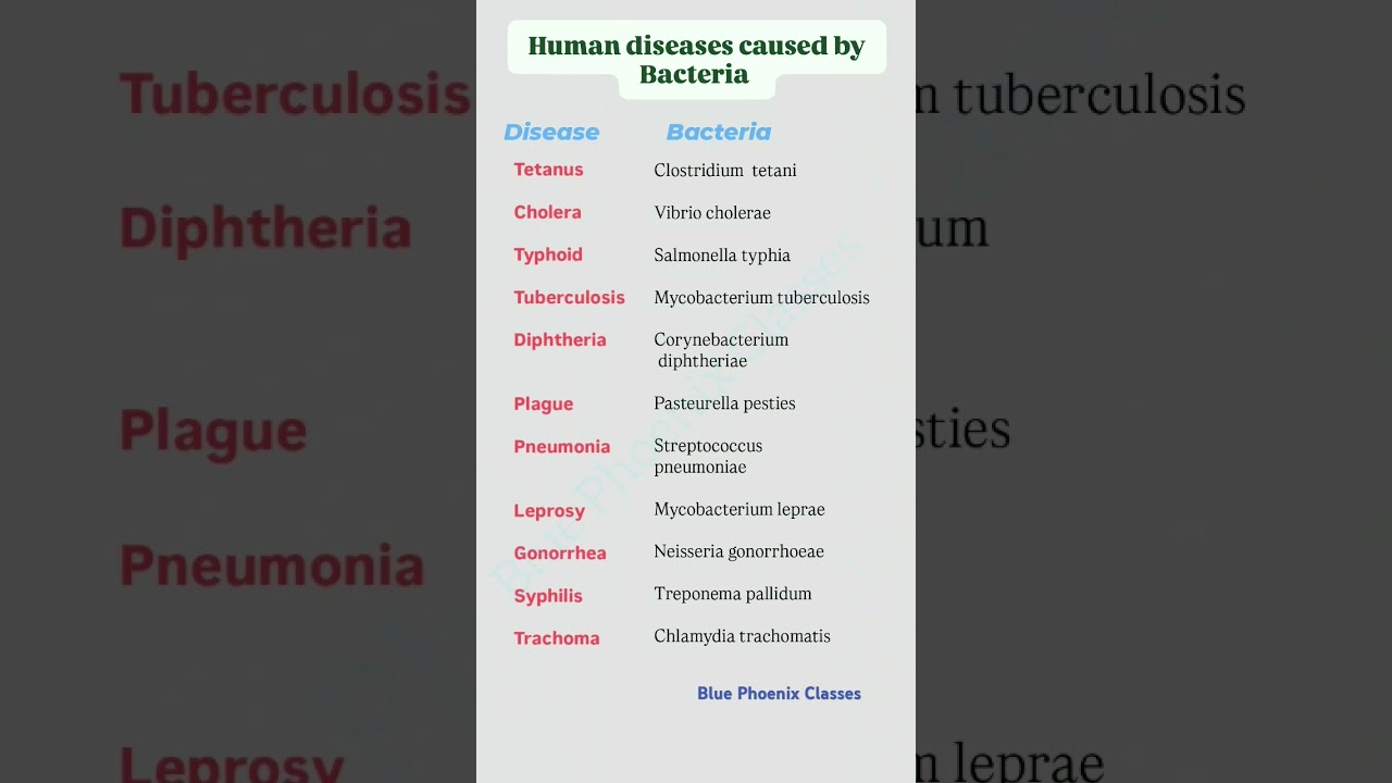 Bacterial Diseases in humans - Science #science #biology #competitiveexams #generalscience #cgl #ssc