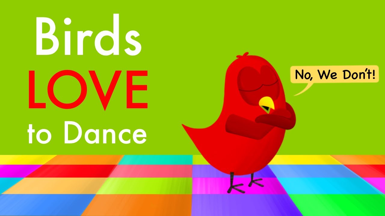 Birds LOVE to Dance - By V. Moua | children's books read aloud