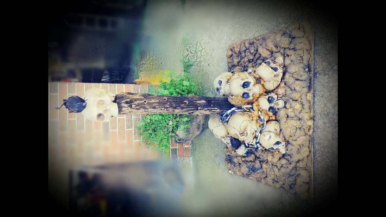 SKULL ON A FENCE POST