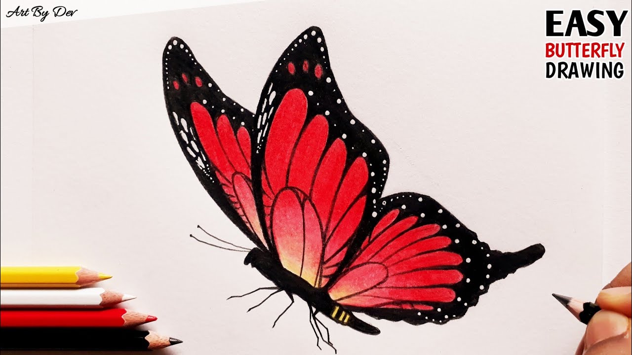 Pencil Colour Drawing - Of Butterfly | How to draw a Butterfly with Colour Pencils / Easy Tutorial