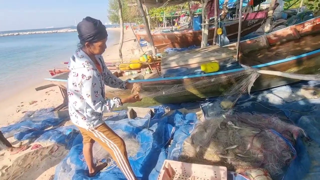 ประมงเรือเล็ก อวนปลาเห็ดโคน 