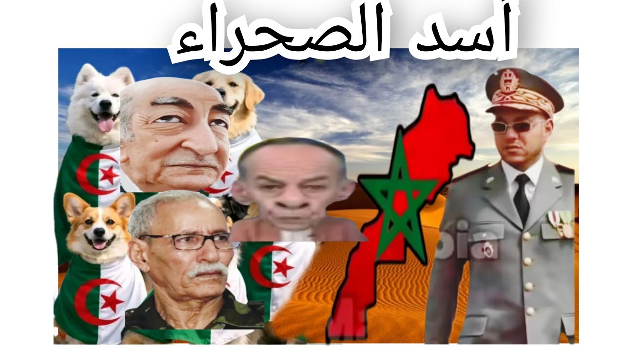 عطيطيف جاتو سريسرة اتناء اجتماع عقد في اسبانيا ⬅️أخيرا الصحراء رجعات لسيدتها المغرب