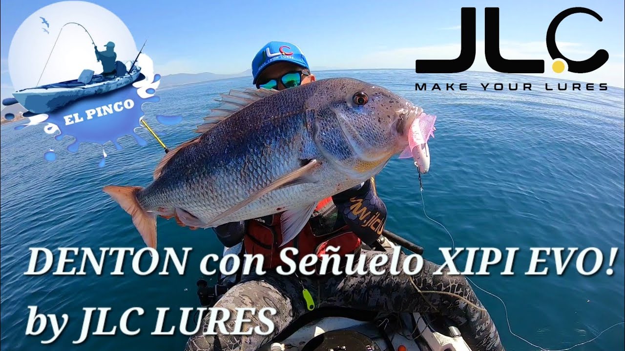 🔝 𝗗𝗘𝗡𝗧𝗢𝗡 𝗖𝗢𝗡 𝗦𝗘Ñ𝗨𝗘𝗟𝗢 𝗫𝗜𝗣𝗜 𝗘𝗩𝗢 𝗕𝗬 𝗝𝗟𝗖 𝗟𝗨𝗥𝗘𝗦 🔥 @jlclures7032  #pescaenkayak #jigging #jlclures