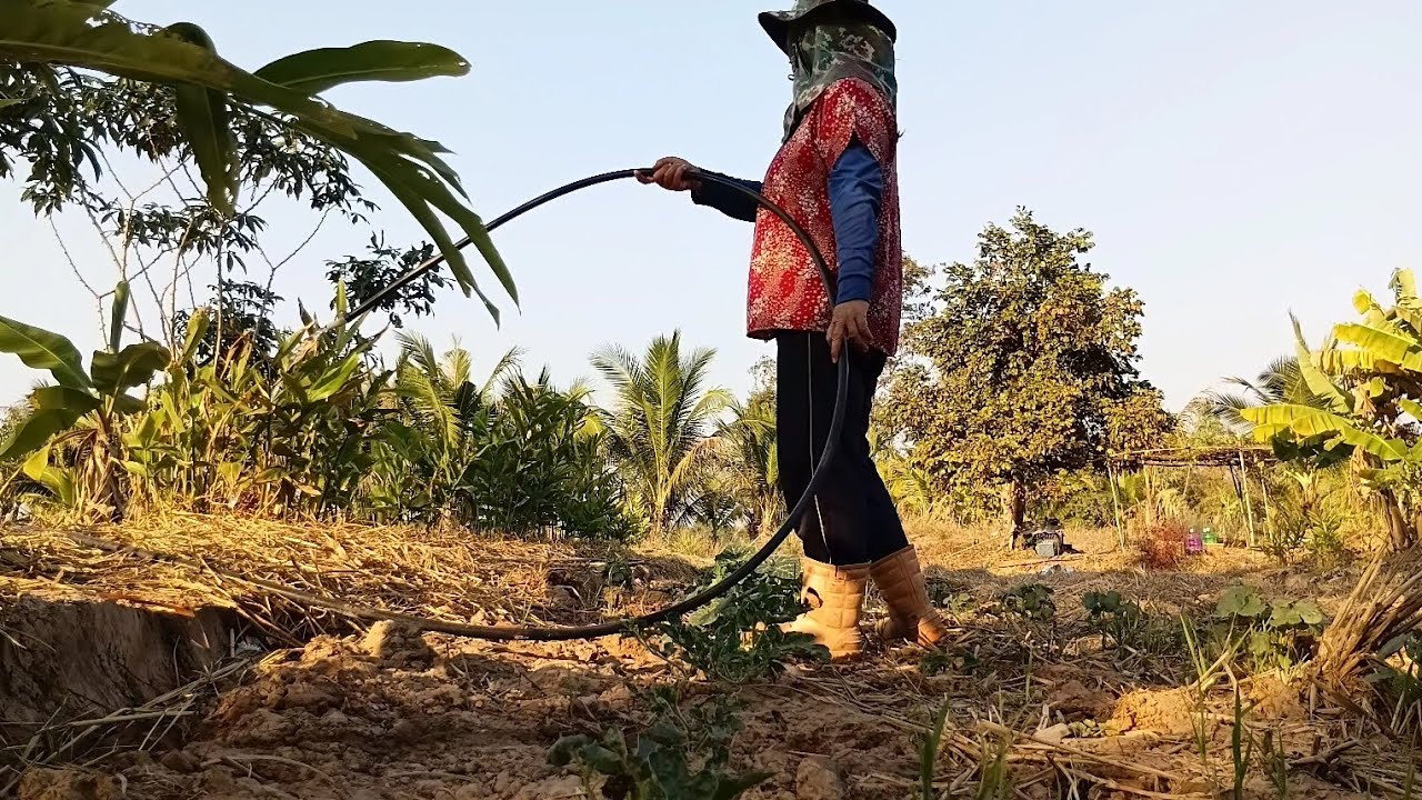 15/1/ 69 🇹🇭
