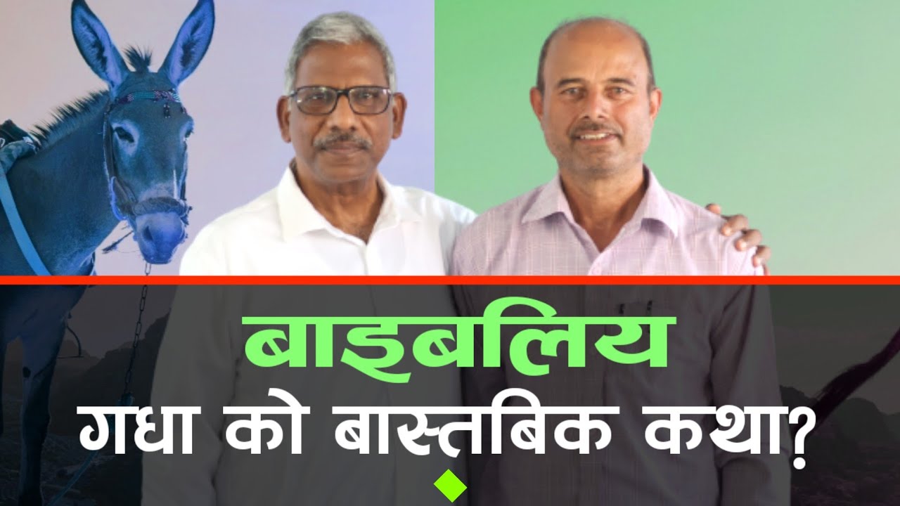 मानिस जन्मदेखी जंगली गधा हो? | Story Of Biblical Donkey? | गधा माथी येशुको सवारी? | By Paul Jacob