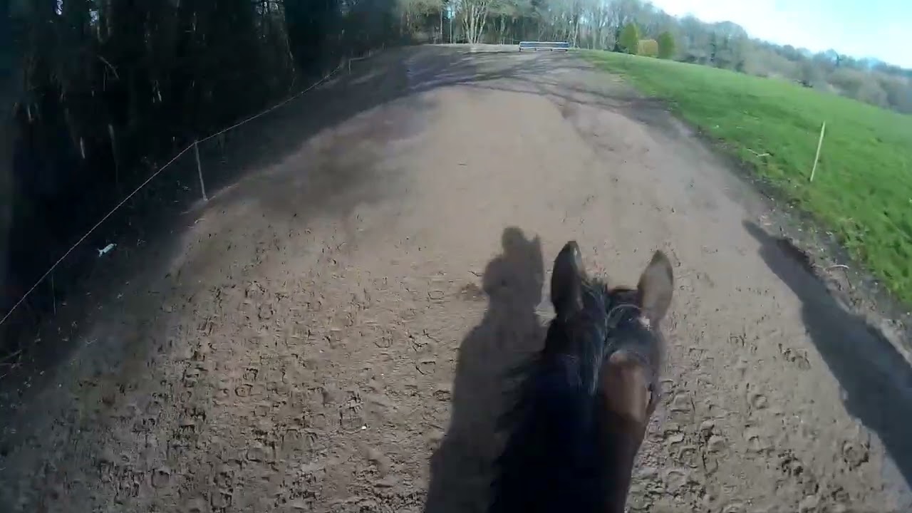 Gangos Somerford 210226