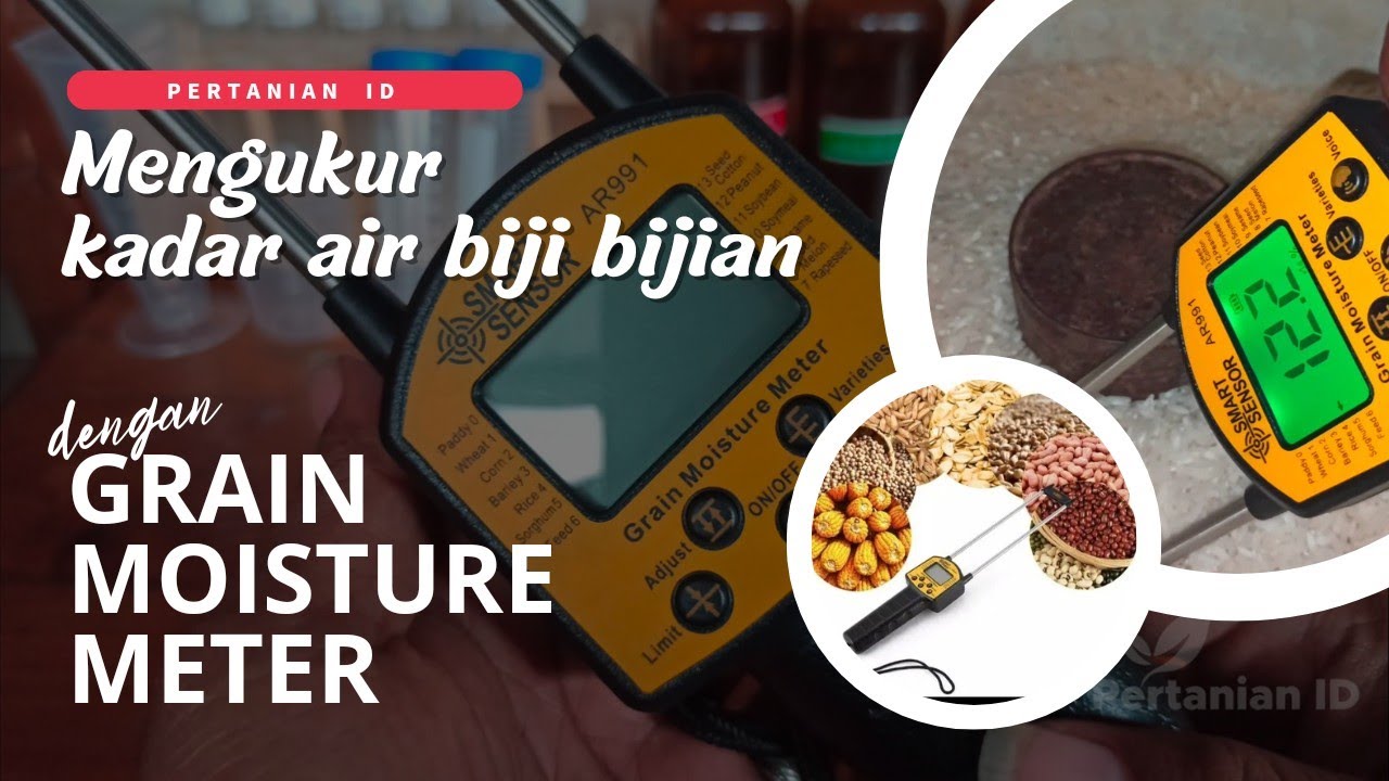 Cara Ukur Kadar Air Biji Bijian dengan Grain Moisture Meter | How to Measure Grain Moisture Content