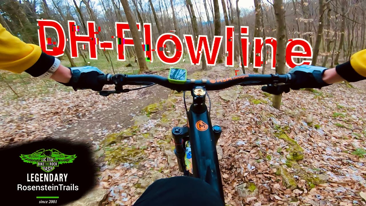 DH-Flowline in Heubach | POV | März 24