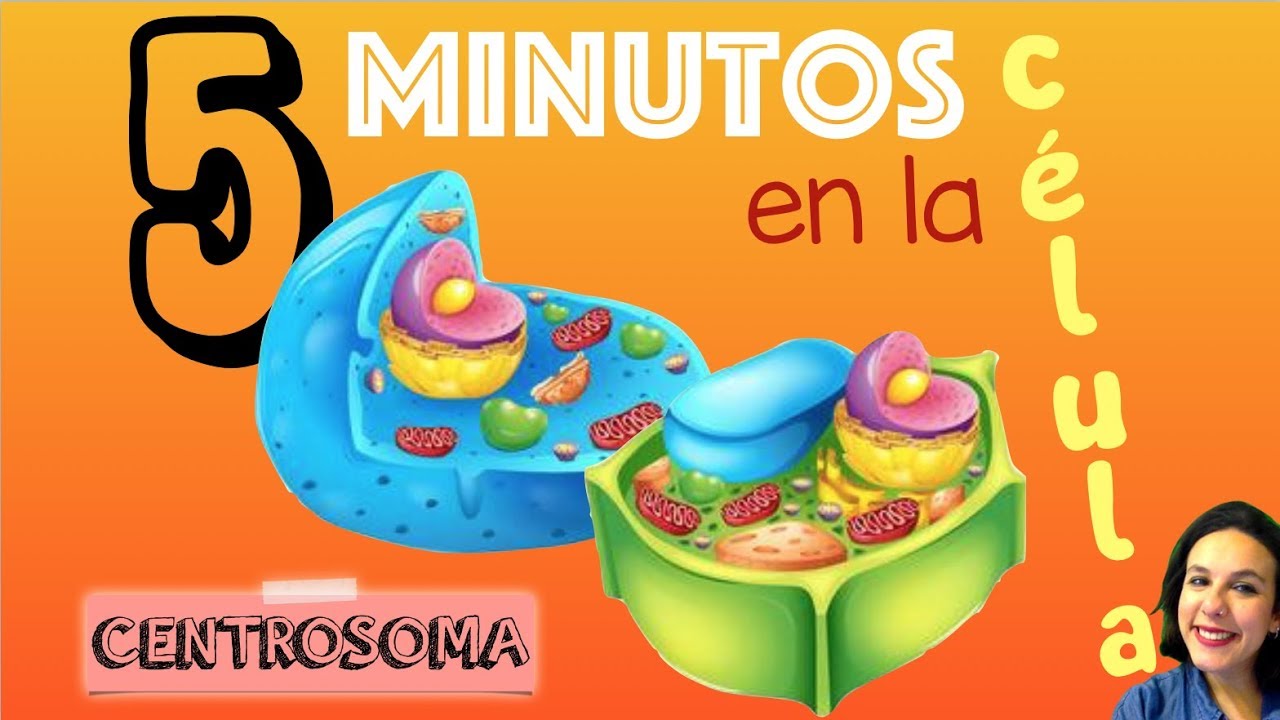 Centrosoma y centriolos - 5 minutos en la c&eacute;lula. Bio[ESO]sfera