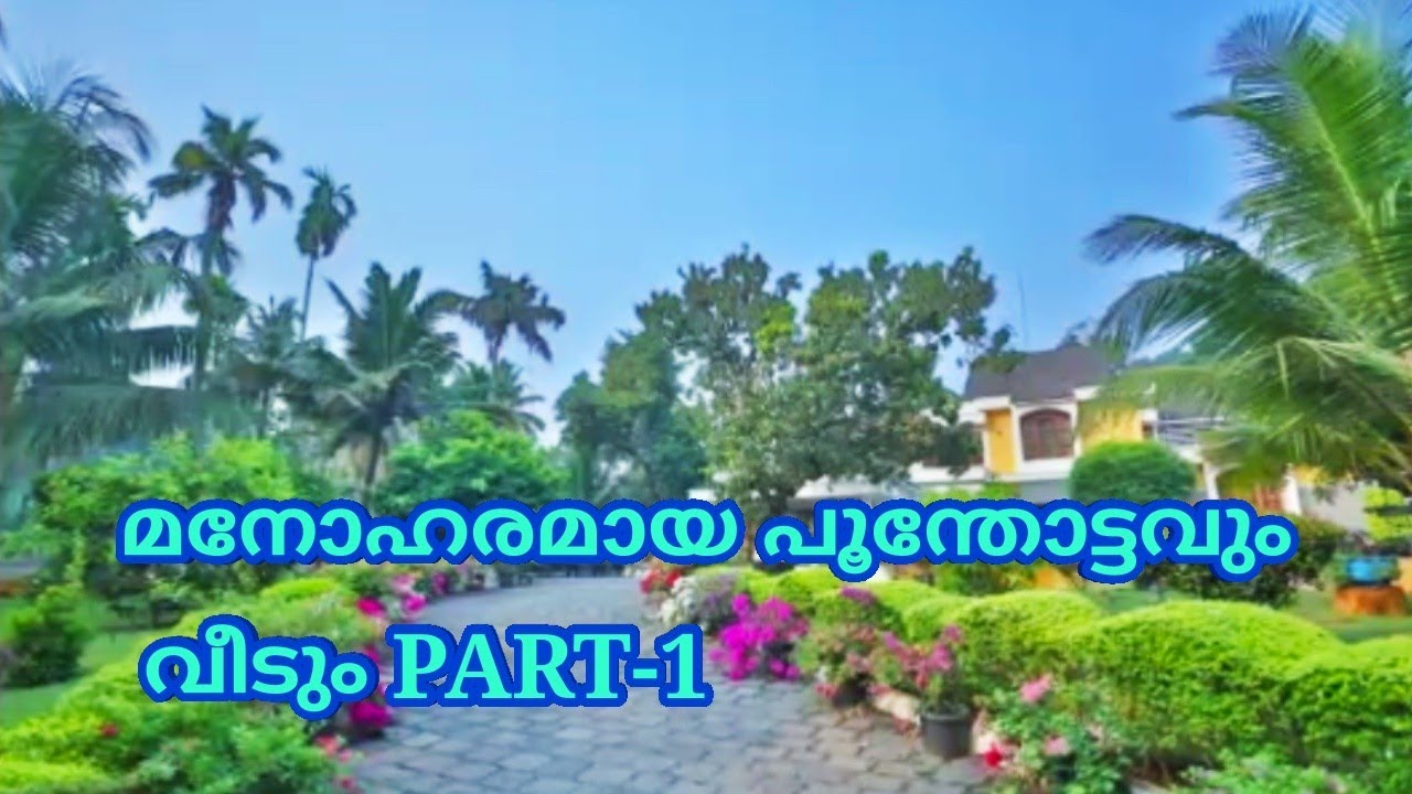 Beautiful garden and Contemporary style house /Beautiful Garden ideas/Kerala/Salu Koshy/Veedu