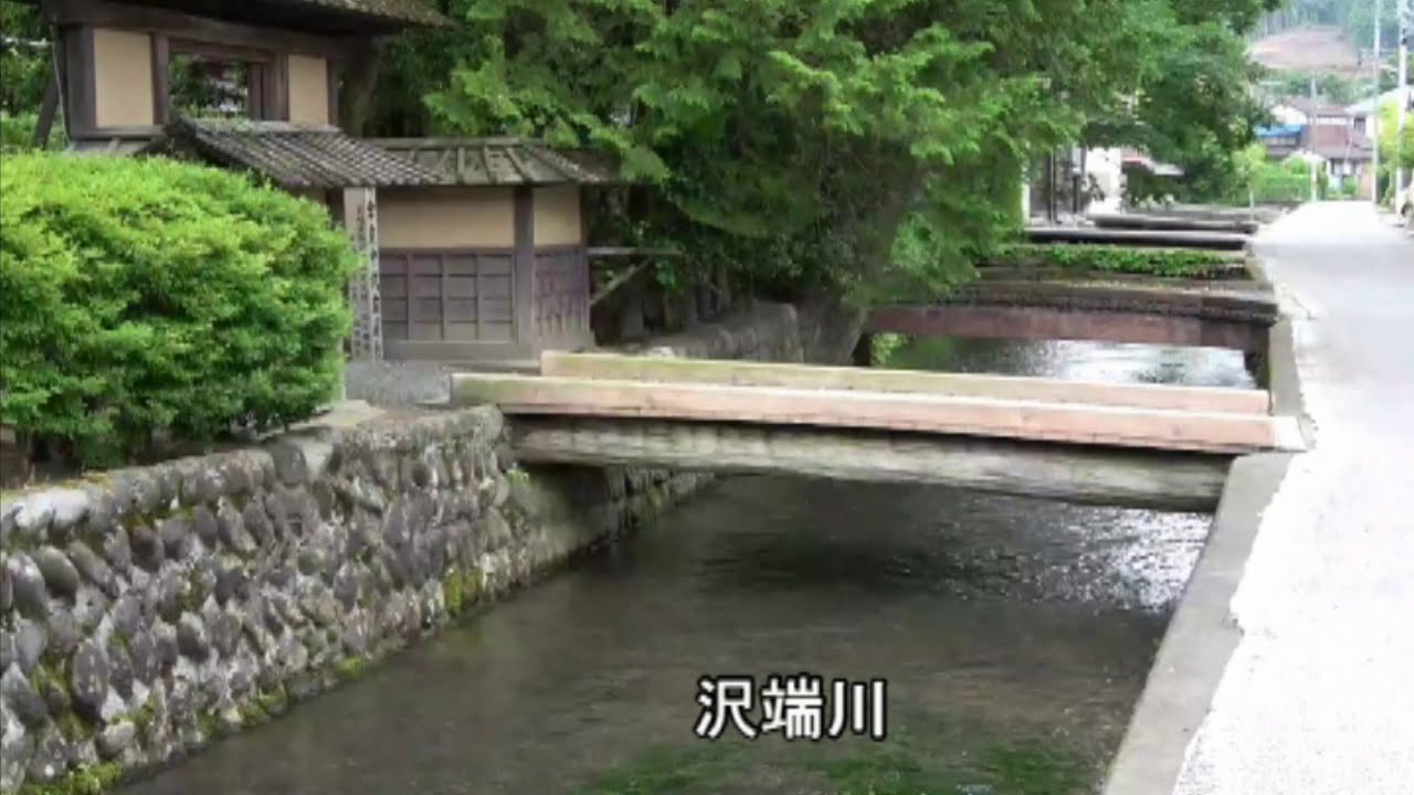 白石市観光まちあるきガイド梅花藻コース