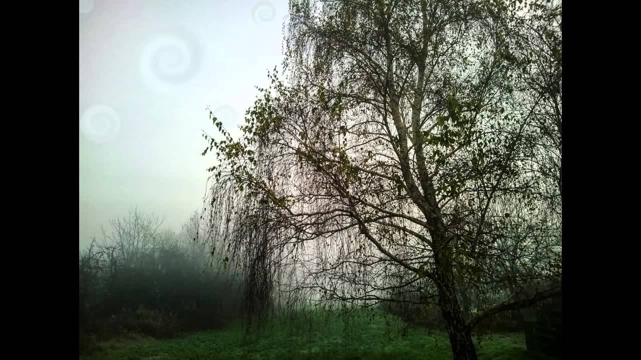H.U.V.A.  Network - Dissolving Time