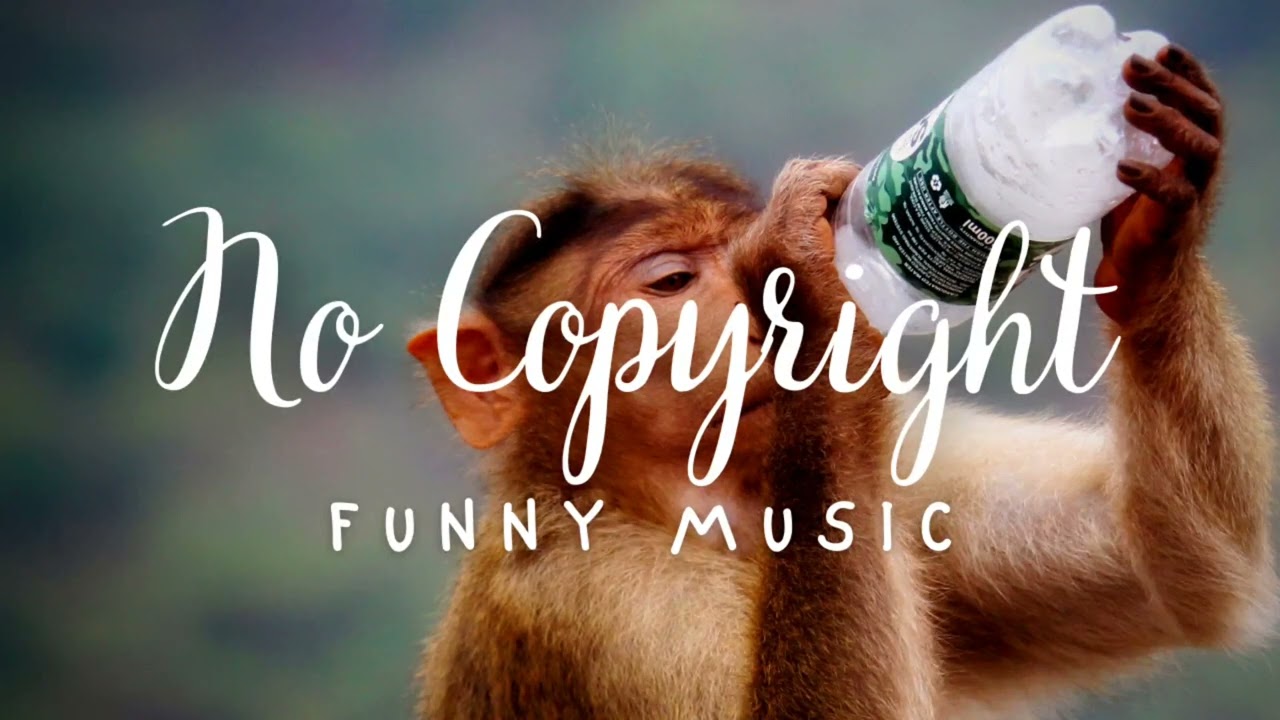 Monkeys Spinning Monkeys – Kevin MacLeod (No Copyright Music)