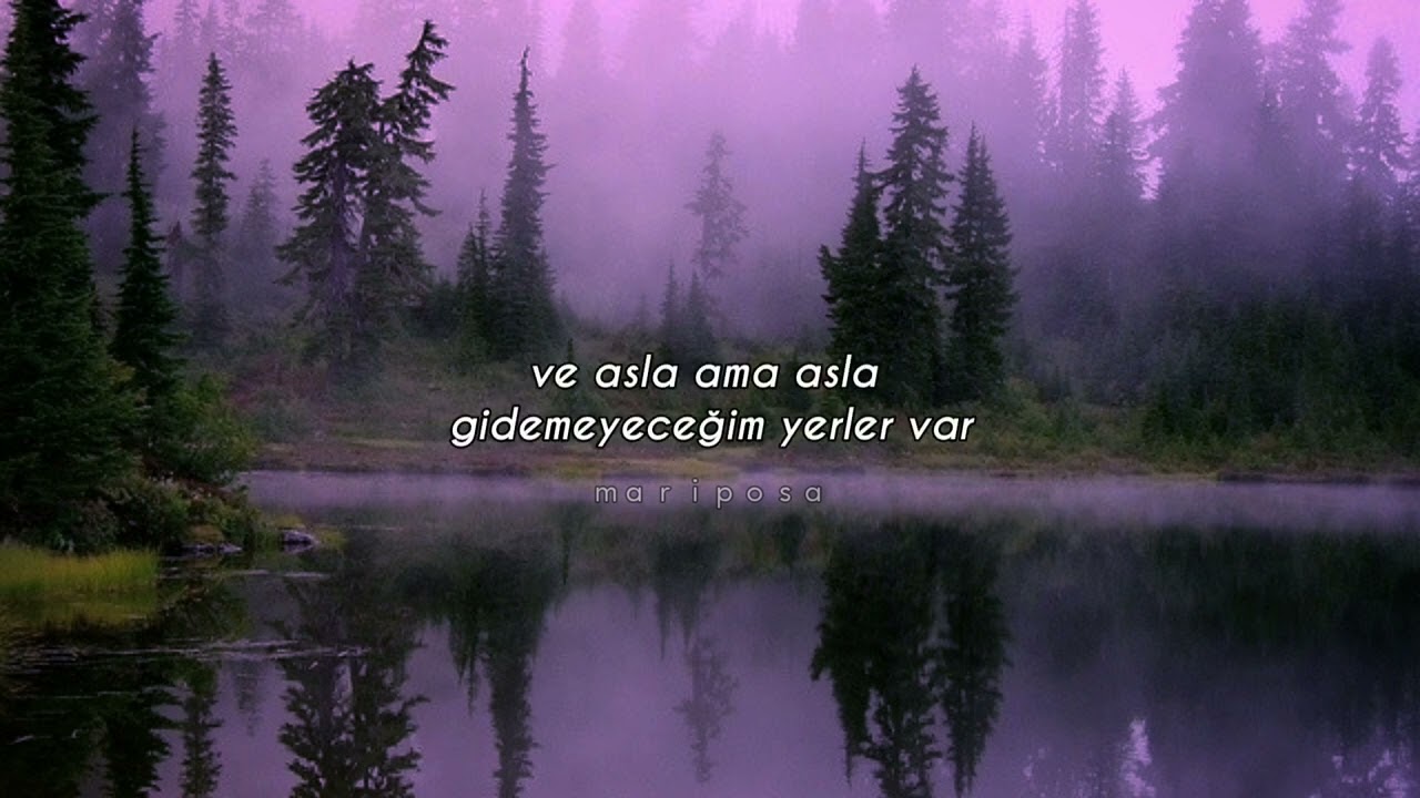 Taylor Swift - Carolina // (Türkçe Çeviri)