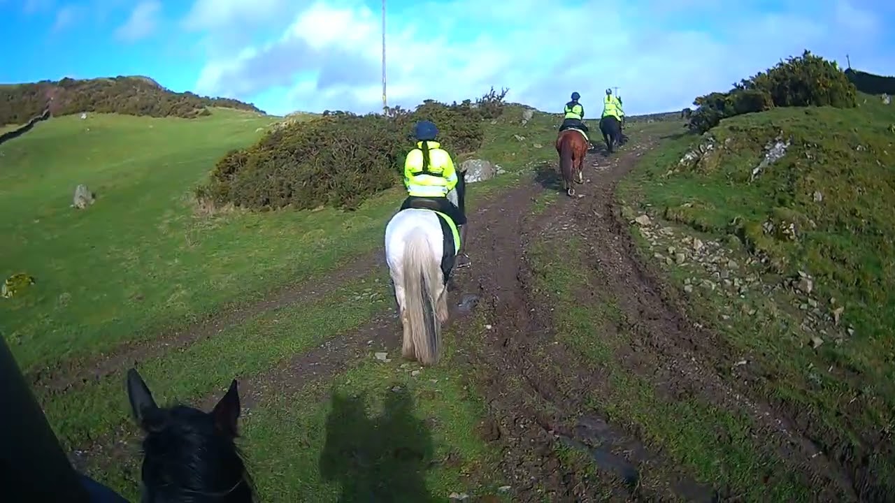 20260222 1st Hack in the Year of the Firehorse