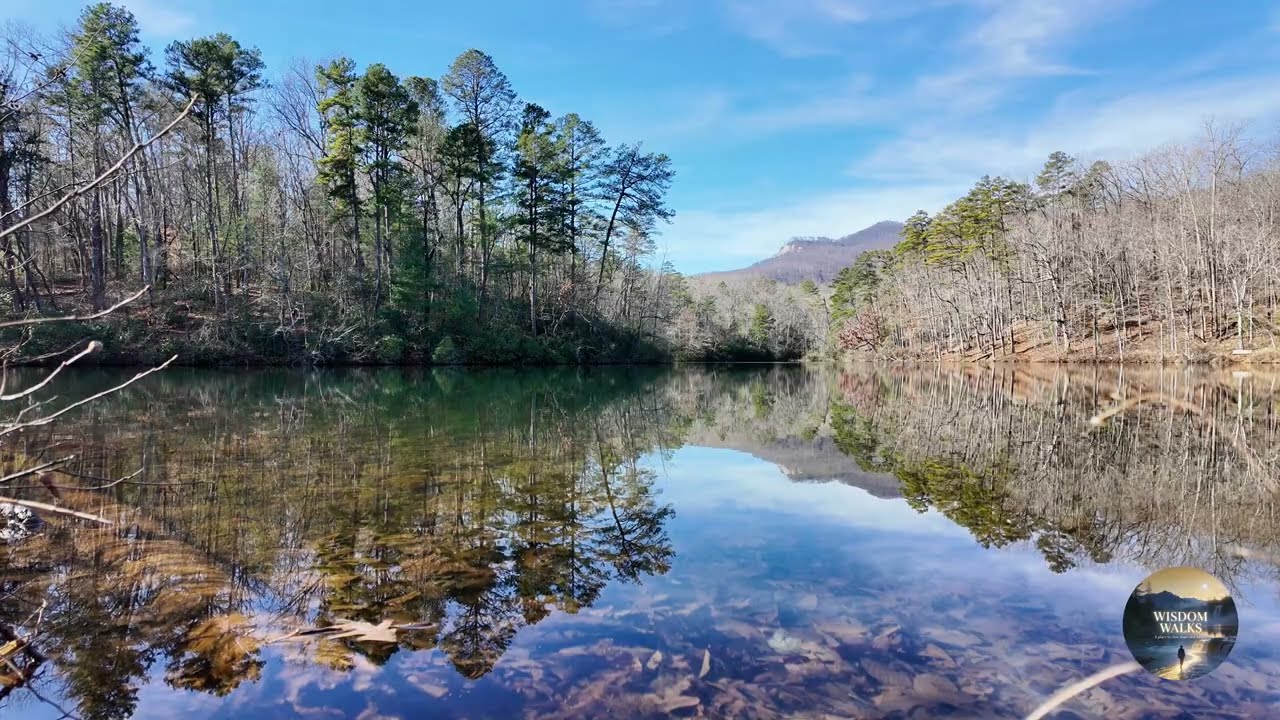 20 Minutes of Pure Nature at Table Rock 🌿 Water Sounds for Deep Relaxation