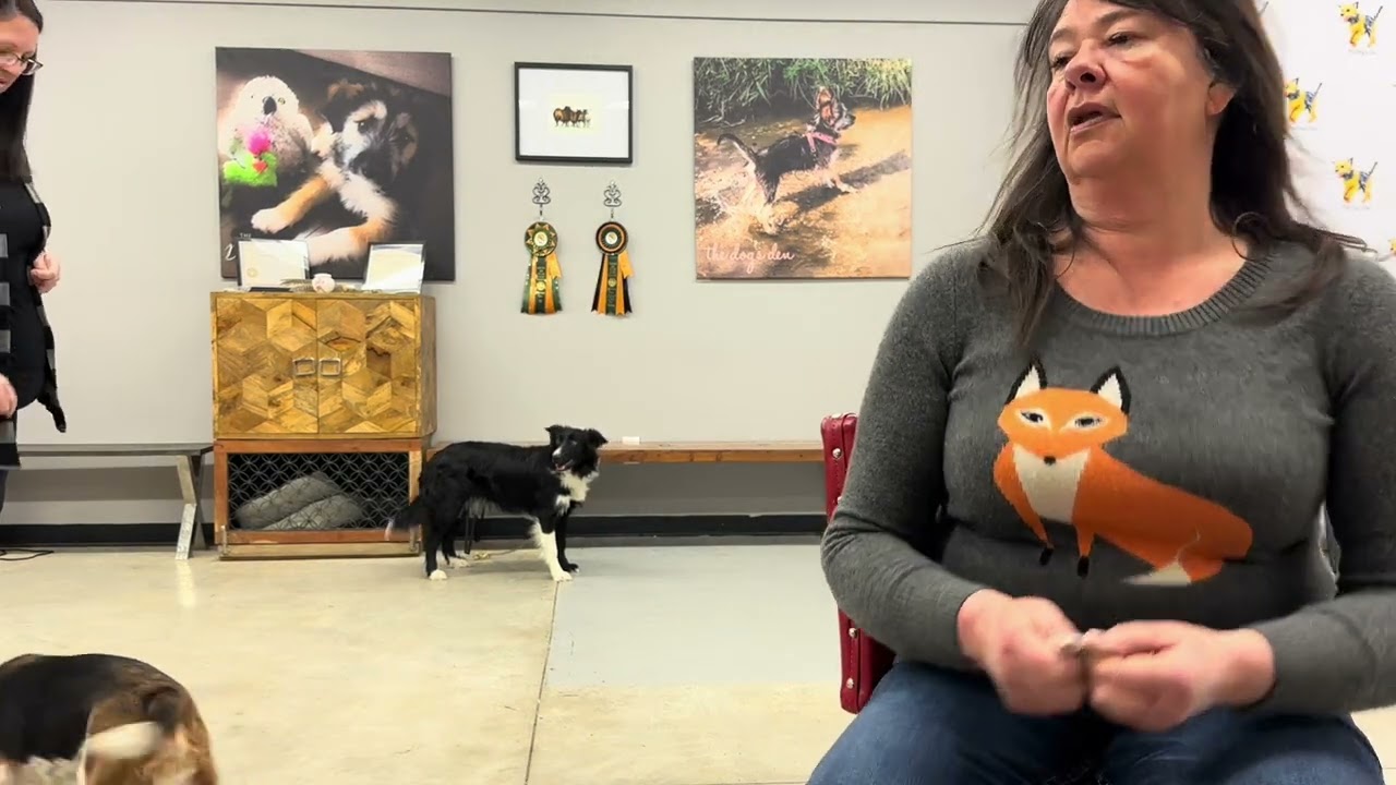 Tether Training Niamh