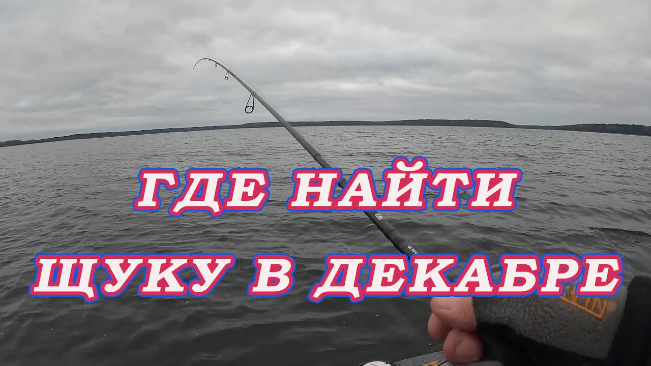 Где найти щуку в декабре!  Щука стоит рядом с белью  на одной глубине!