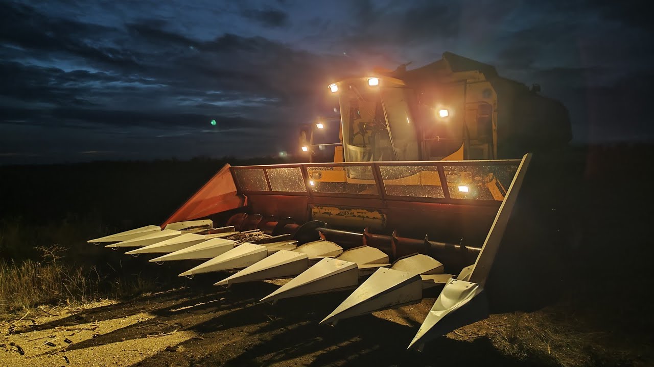 Kombájnos Vlog #11 - Napraforgó aratás | New Holland TX66 + NAS 8 |