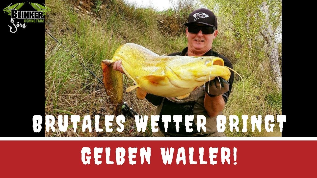 Brutales Spanien-Wetter bringt GELBEN Blinker-Waller!!! - Spanien 2018 #1 - www.blinker-joerg.de