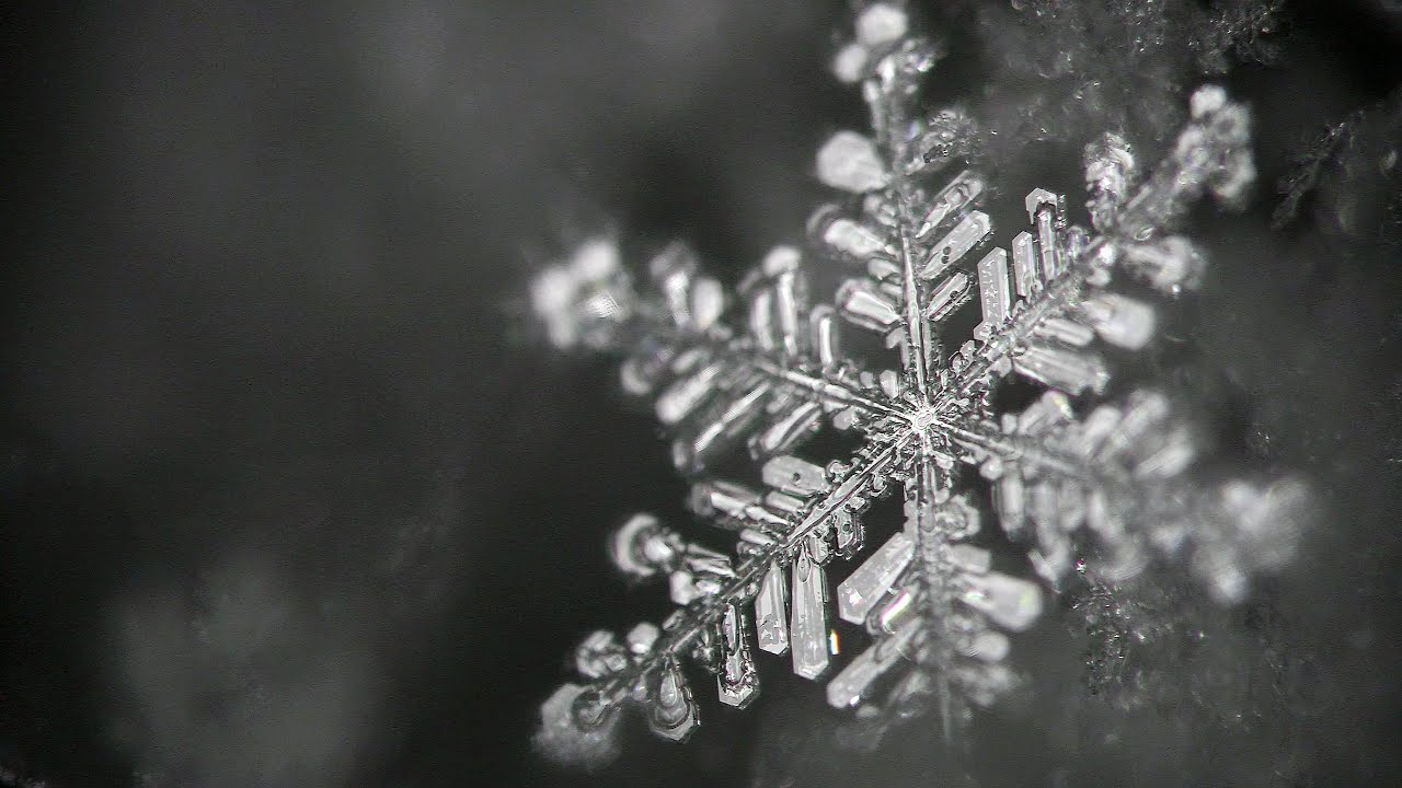 美しい雪の結晶　Crystal of snow.　4K・UHD