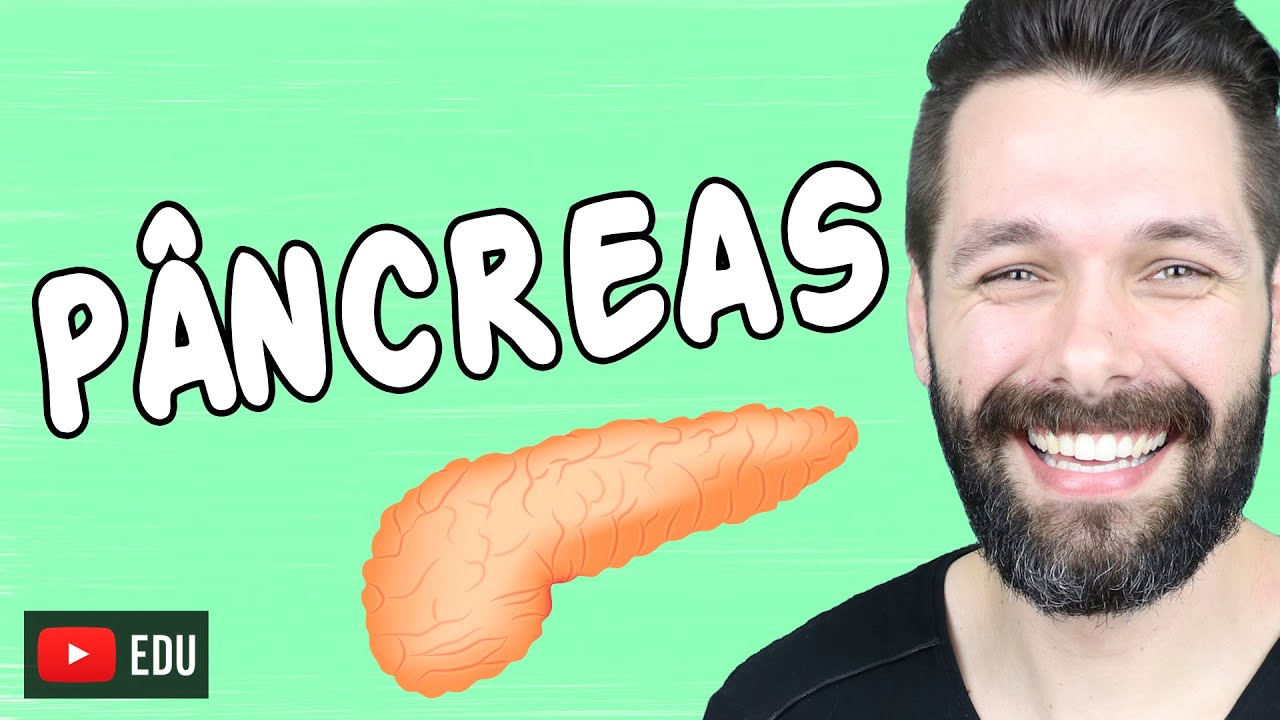 PÂNCREAS - Anatomia e Funções - Sistema endócrino e digestório | Biologia com Samuel Cunha