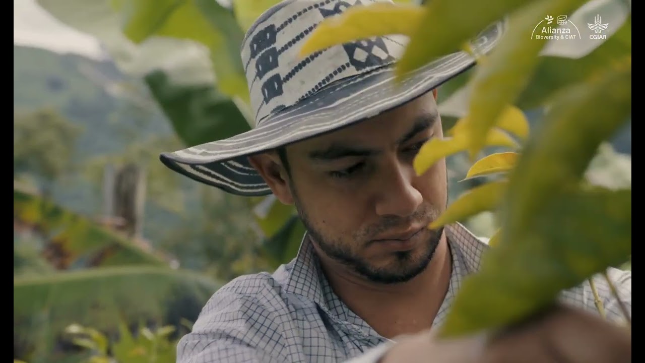 Сеть наблюдателей за климатом: климатические волонтеры меняют Гондурас