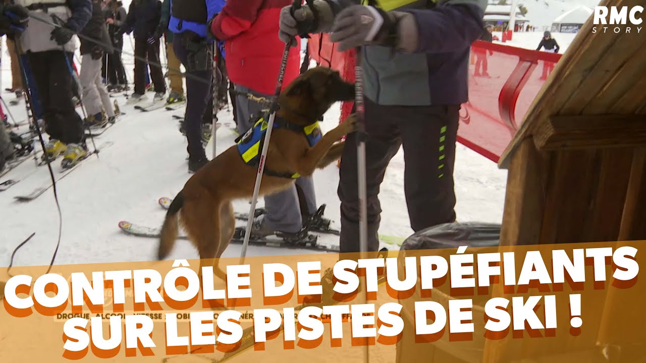 Contrôle de stupéfiants sur les pistes de ski !