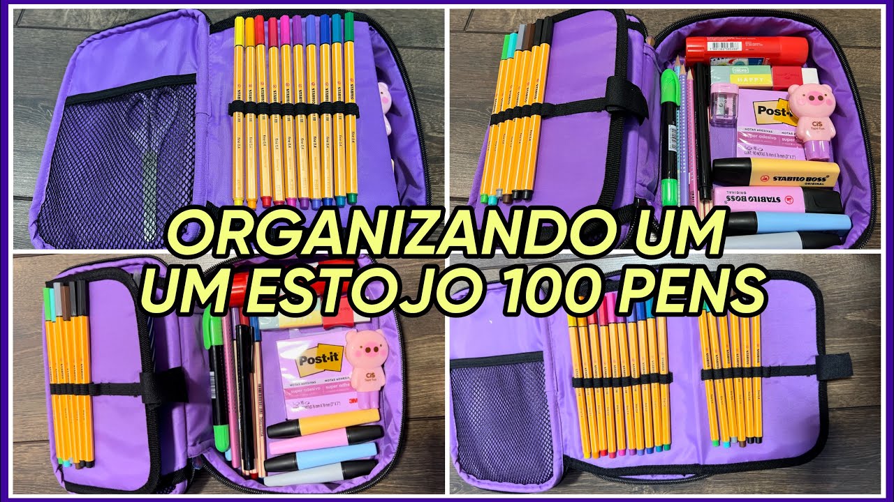 ORGANIZANDO UM ESTOJO 100 PENS / *material escolar*