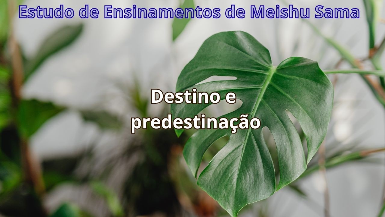 Estudo de Ensinamentos- Destino e predestinação