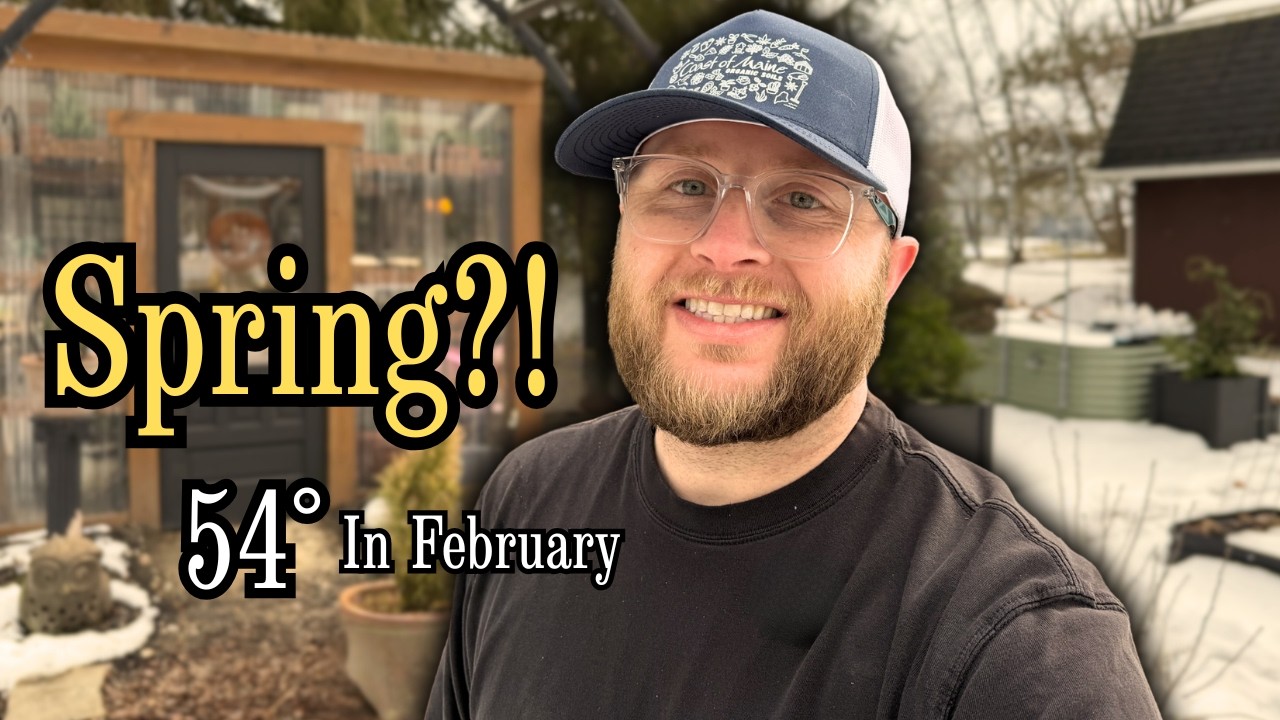 Теплый февральский день в саду 🌿 Уборка сада, обрезка гортензий и посев семян