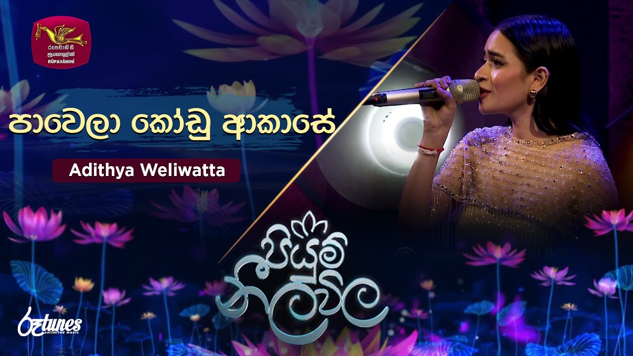 Pawela Kodu Akase | පාවෙලා කෝඩු ආකාසේ | Adithya Weliwatta | Piyum Neela Vila | Roo Tunes