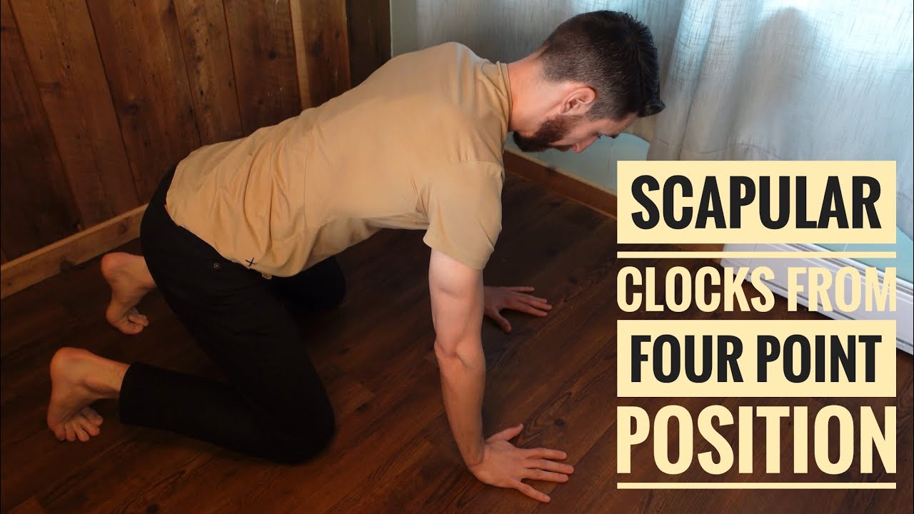 Scapular Clocks from Four point position