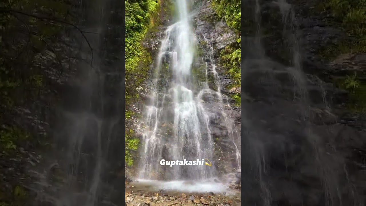 Almora #youtubeshorts