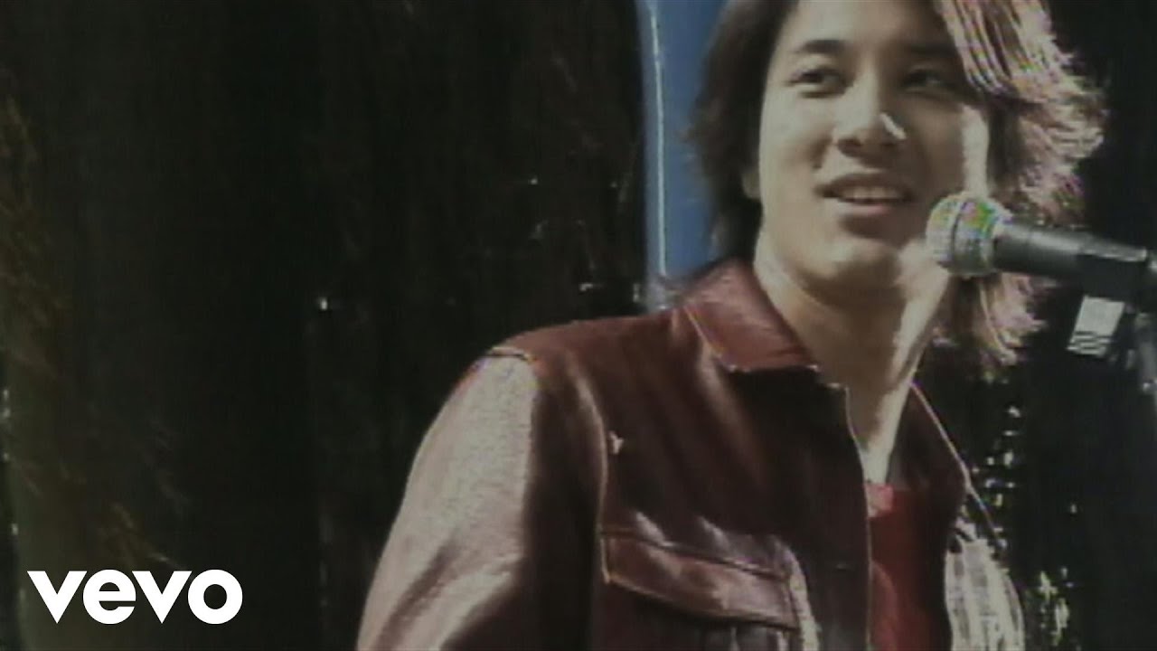 王力宏 Leehom Wang - 白狐狸