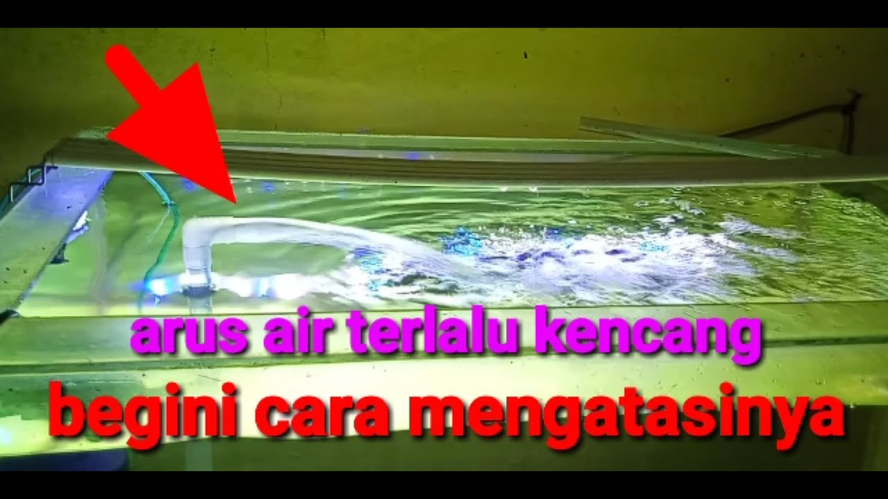 cara mengurangi arus air kencang dari mesin aquarium