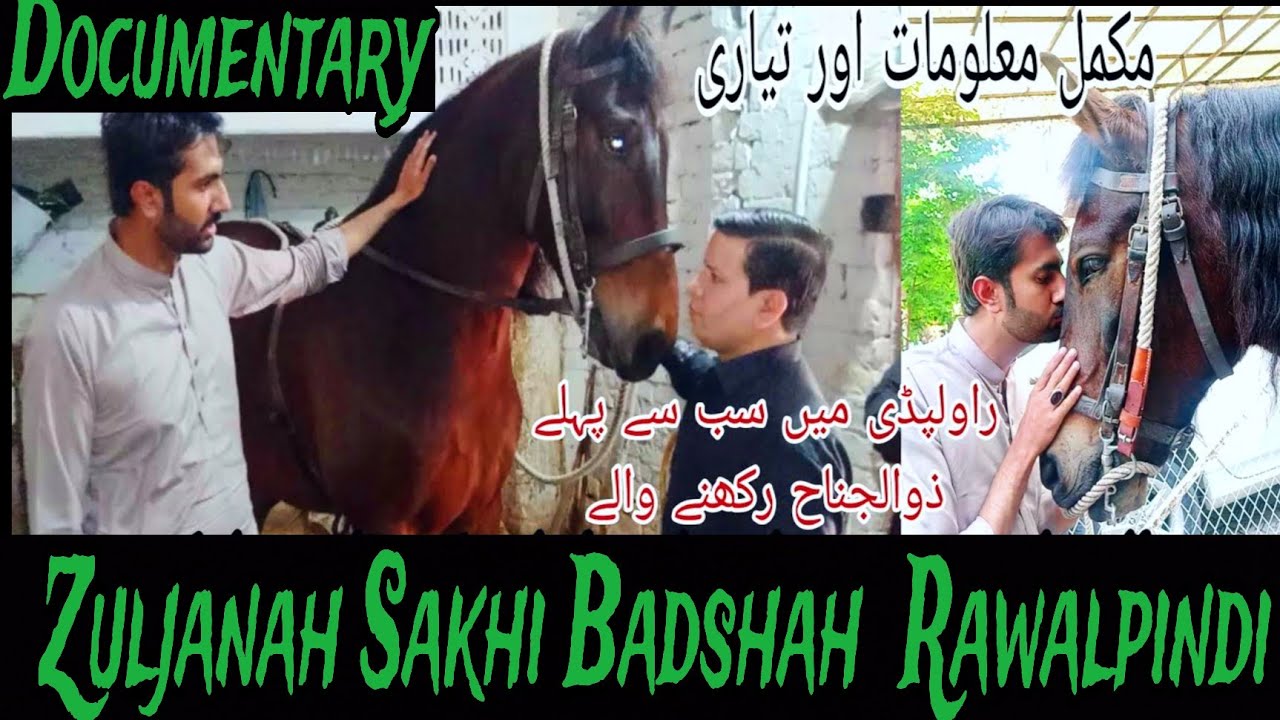 Zuljanah Sakhi Badshah Tayer Market Rawalpindi || Horse Of Imam Hussein as