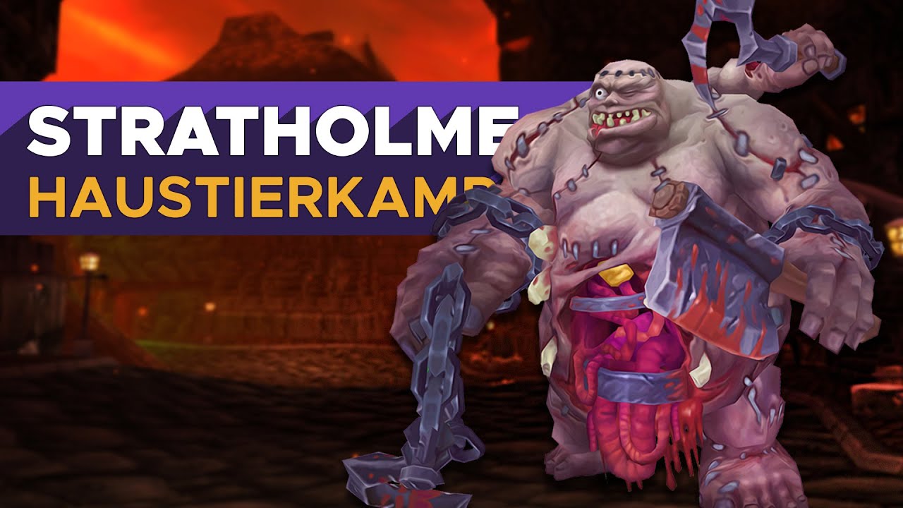 Stratholme 💀 | KOMPLETT! + Rematch Importlink - Haustierkampf-Dungeon Guide [Wow]