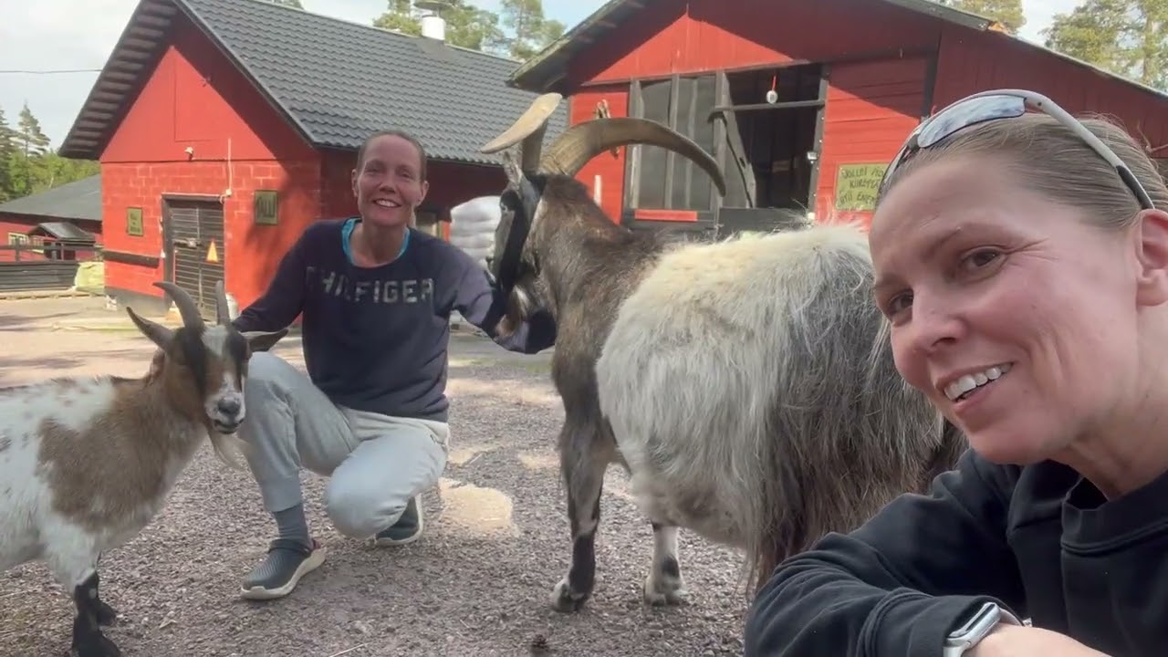 KESÄN EKAT BILEET!