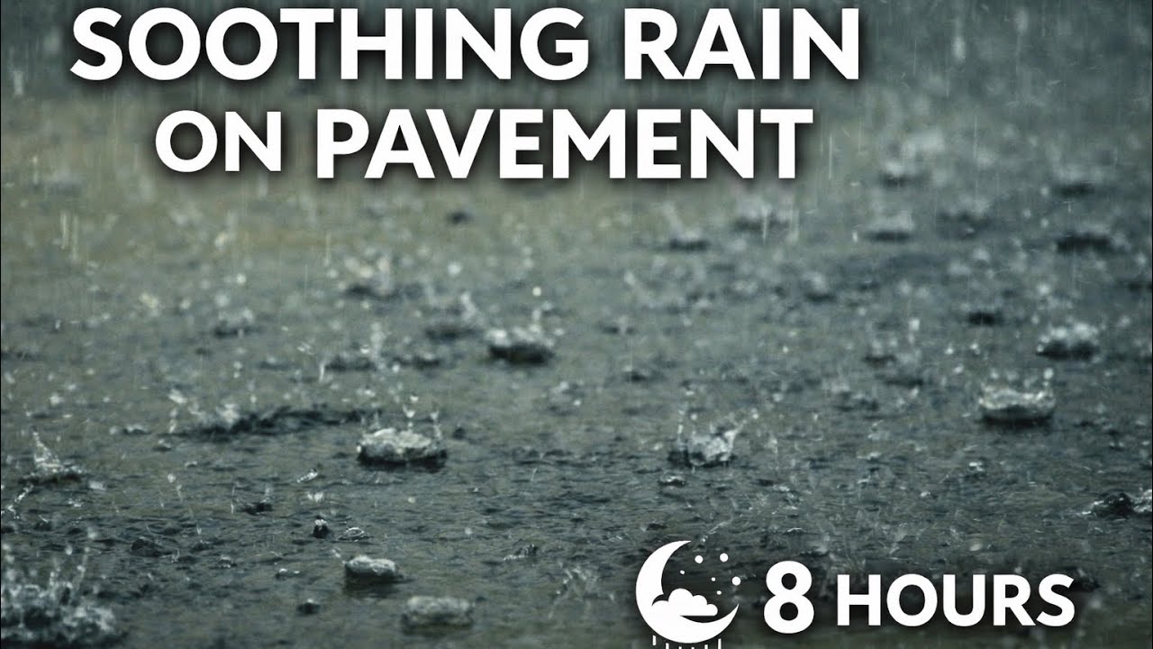 Soothing Rain on Pavement | Calm Daytime Rain Sounds (8 Hours)