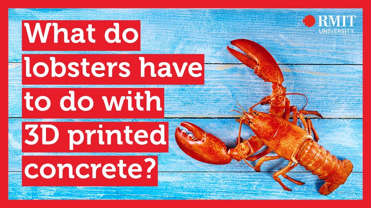 How lobsters can help make stronger 3D printed concrete | RMIT University