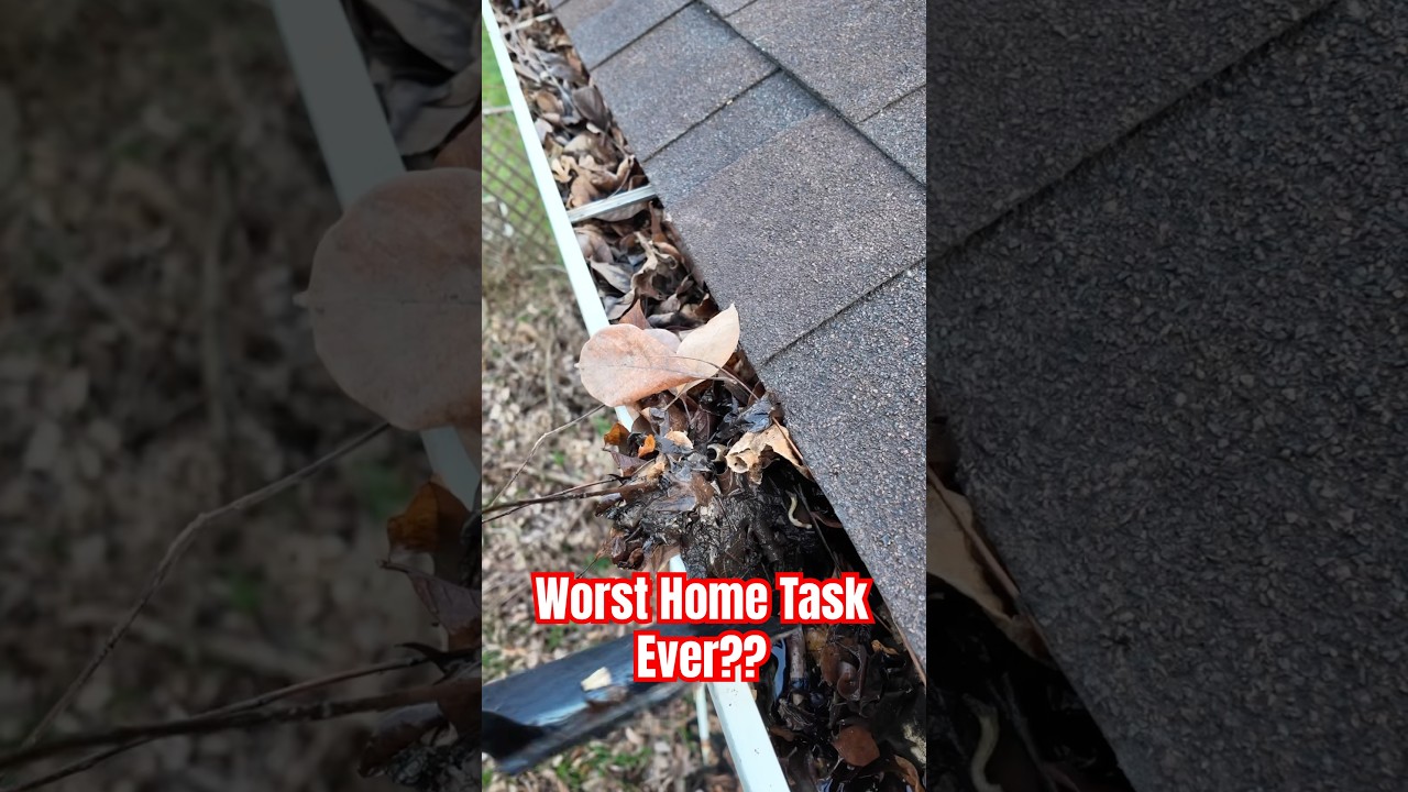 Cleaning Gutters: The WORST Home Task Ever! 🤢 [DIY Survival]