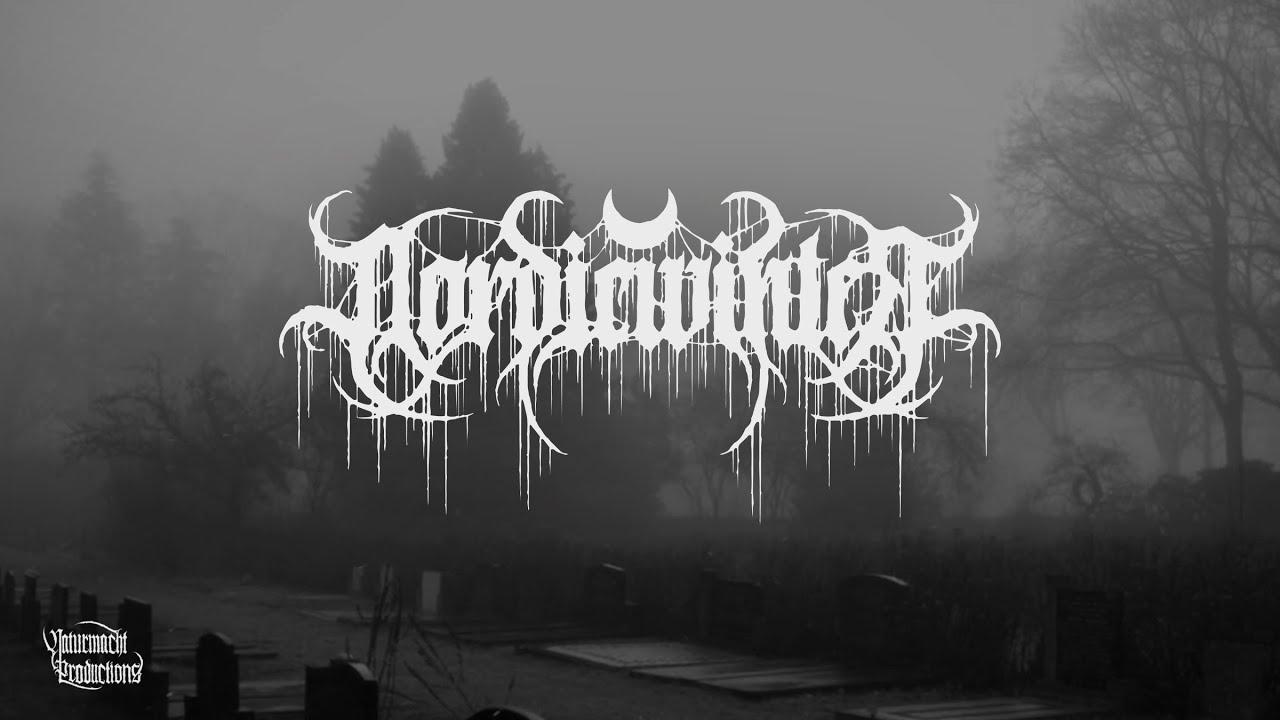 NORDICWINTER - The Howling Void (Atmospheric Depressive Black Metal - official video)