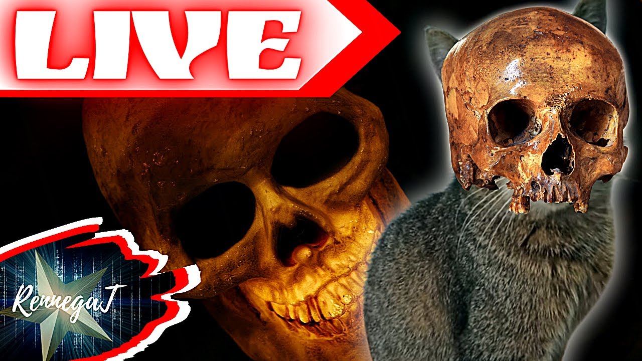 🔴🔴🔴 (( The Forest )) FABRYKA KOŚCI! (( Wypchany LIVE ))