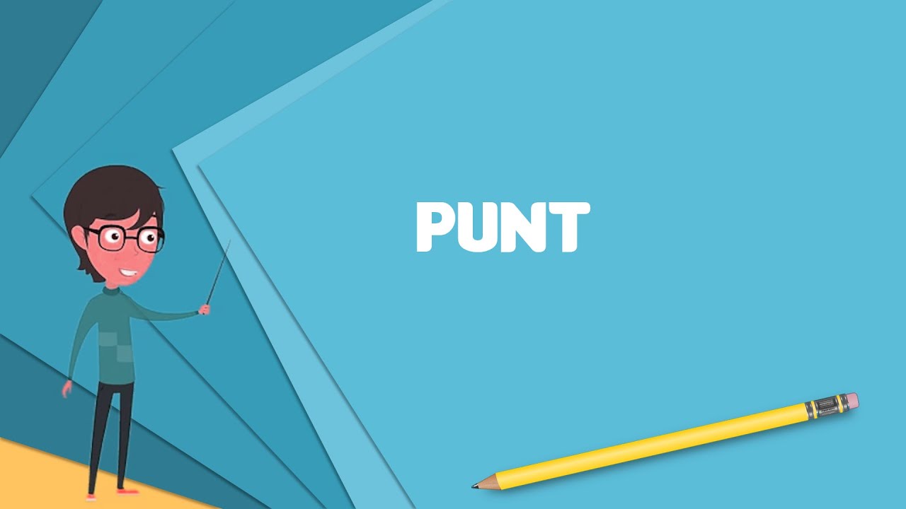 What is Punt (boat)? Explain Punt (boat), Define Punt (boat), Meaning of Punt (boat)
