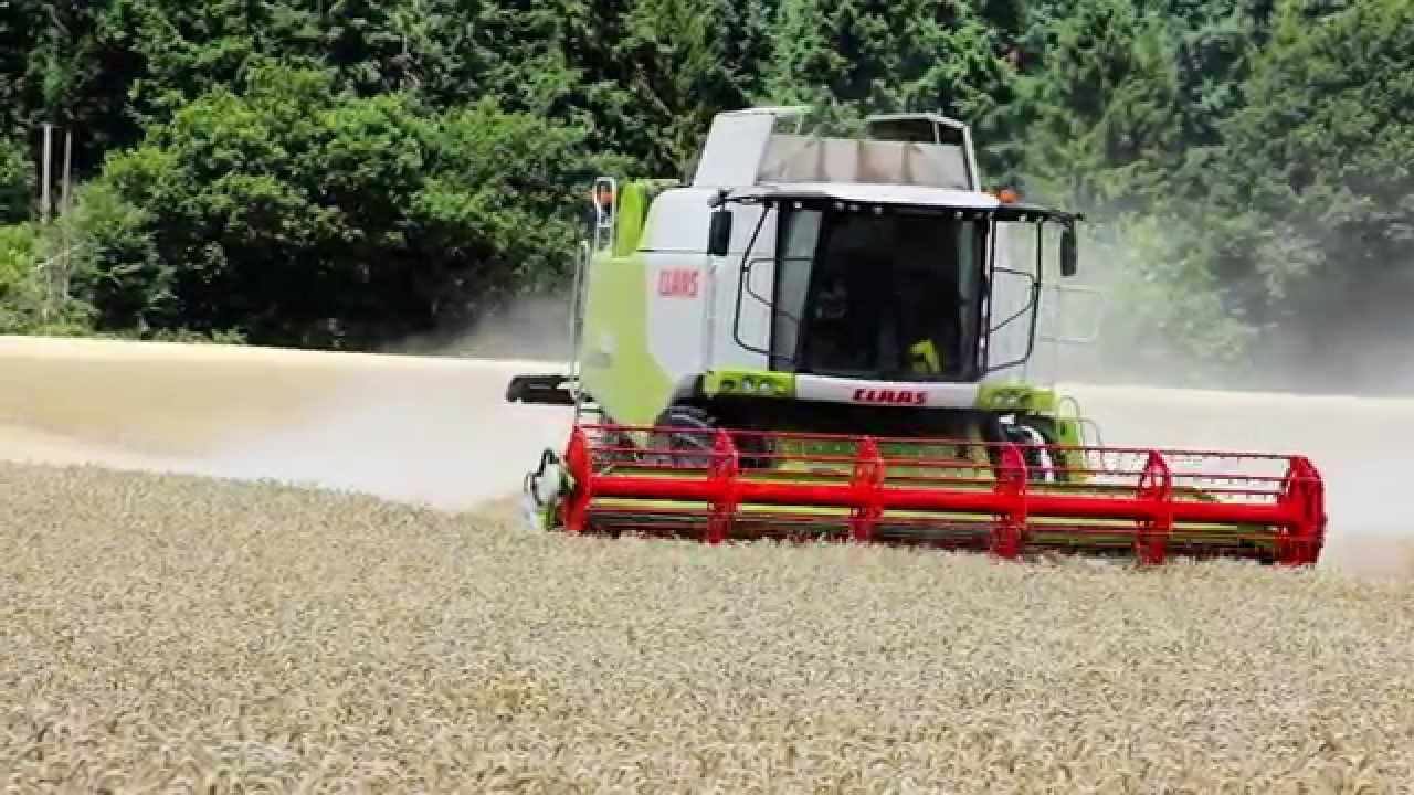 Lexion 650 | Getreideernte 2015