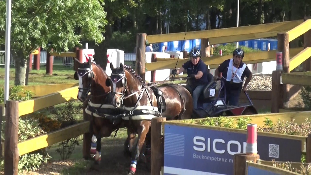 Eve CADI-VERNA (FRA) FEI CH-M-AH2, Drebkau (Germany), marathon driving, obst. Nr. 8, 14.09.2019