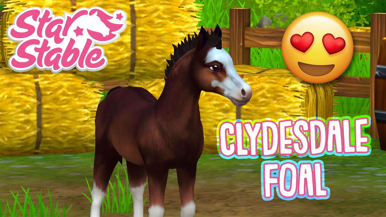 CLYDESDALE FOAL [Star Stable Horses App]